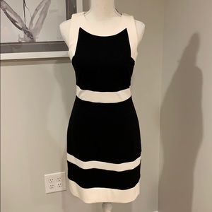 NWT White House Black Market Shift Dress